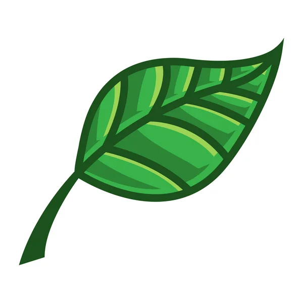 Verde Naturaleza Hoja Vector Icono — Vector de stock