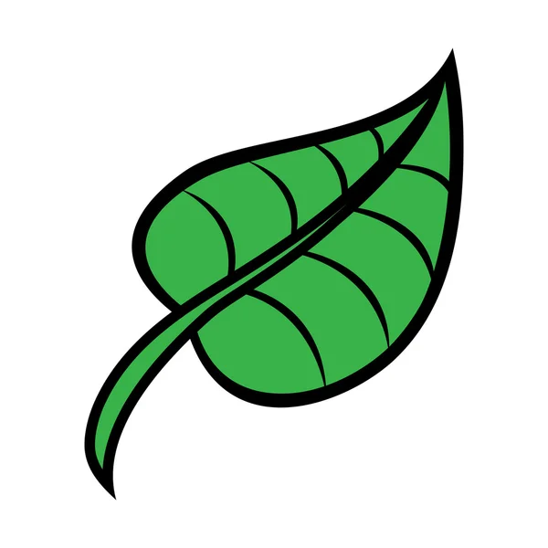 Grüne Natur Blatt Vektor Symbol — Stockvektor