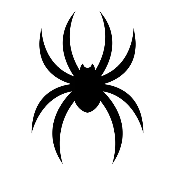 Spider vector icon — Stock Vector