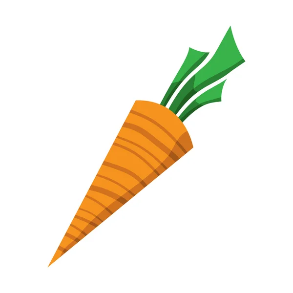 Carrot Vegetable vector icon — Stock Vector