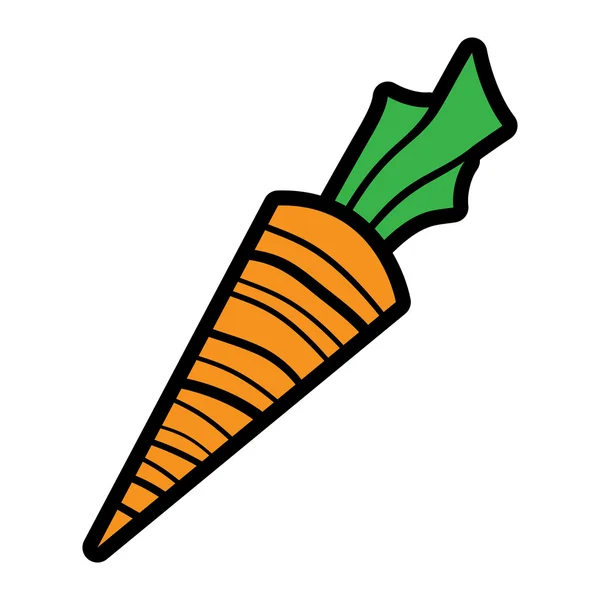 Carrot Vegetable vector icon — Stock Vector