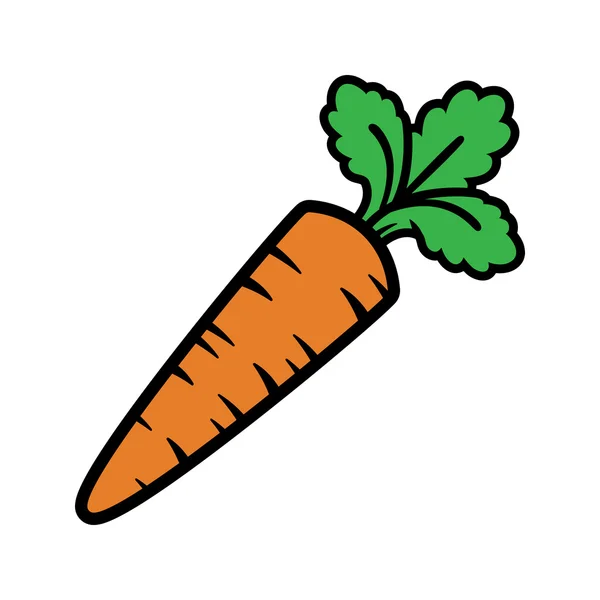 Carrot Vegetable vector icon — Stock Vector