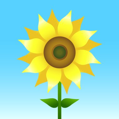 Ayçiçeği vektör çizim