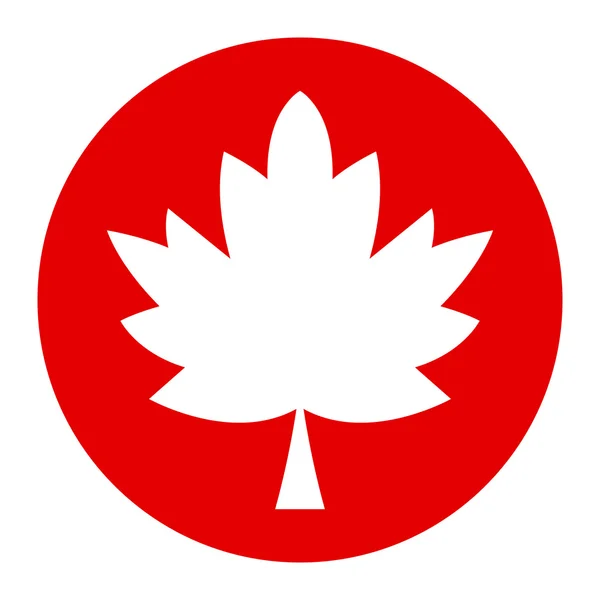 Maple Leaf vektor ikon — Stock vektor