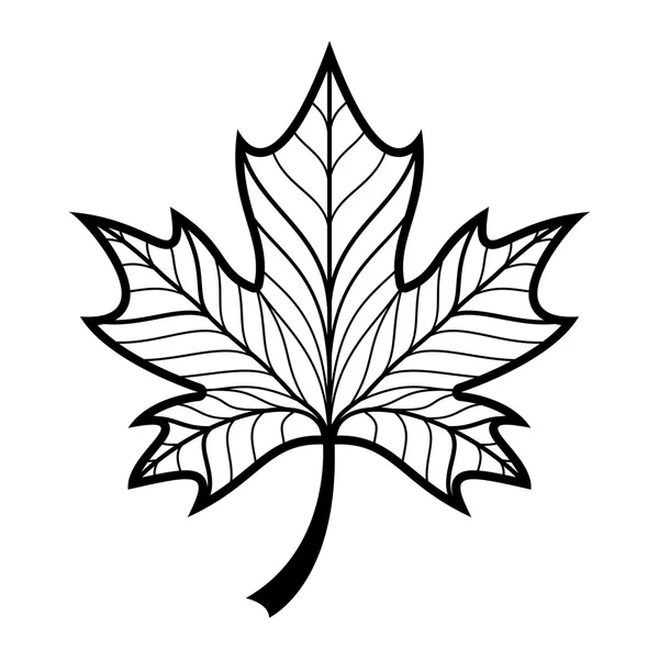 Akçaağaç Yaprağı vektör simgesi — Stok Vektör