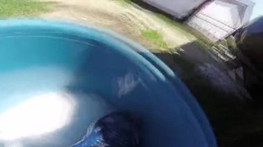 el bir araba yıkama