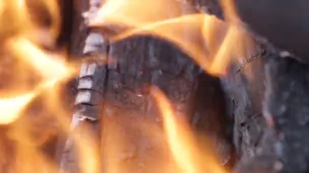 Brûler du charbon. Gros plan de charbons chauds rouges brillait. Full HD, 1080p .