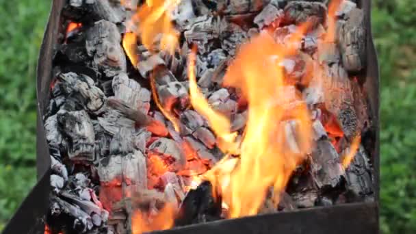 Churrasco com carvão preparado para churrasco — Vídeo de Stock