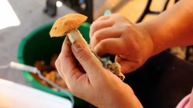 kadın temizlik mantar