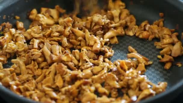 Em uma panela de ato de fritar chanterelles fritos — Vídeo de Stock