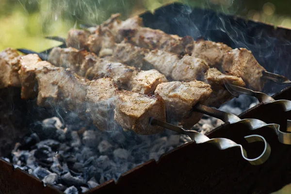 Shish kebab sur les brochettes — Photo