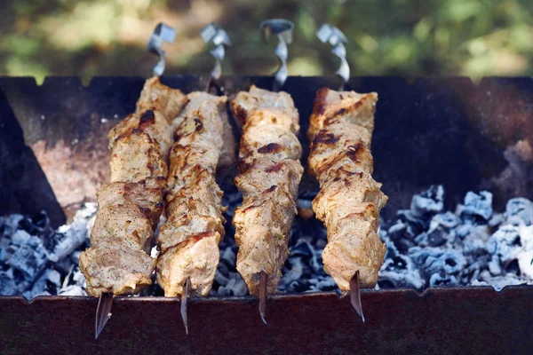 Shish kebab sur les brochettes — Photo