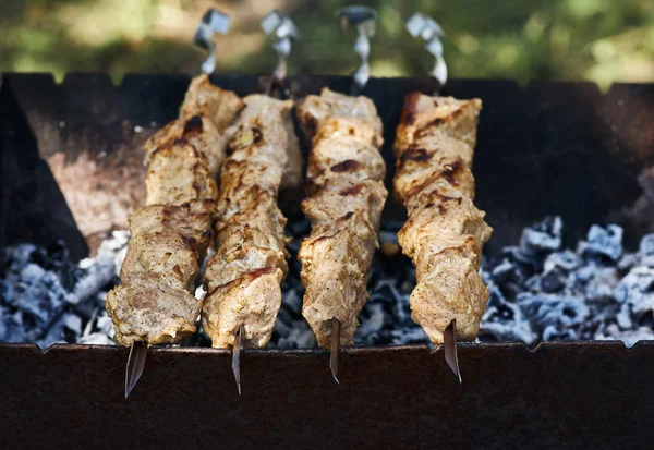 Spiedini shish su spiedini — Foto Stock