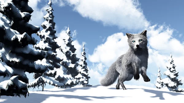 White fox - 3D render — Stock Photo, Image