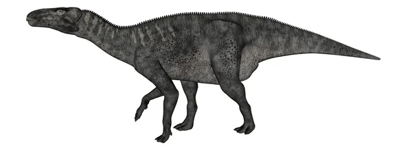Caminhada de dinossauro Iguanodon - renderização 3D — Fotografia de Stock