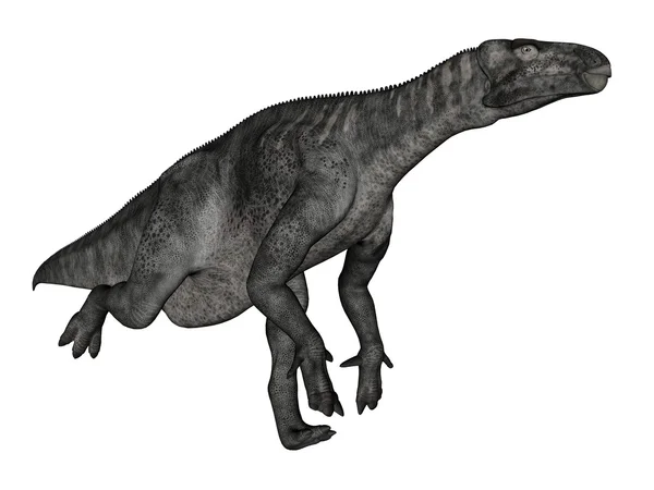 Iguanodon dinosaur running - 3D render — Stock Photo, Image