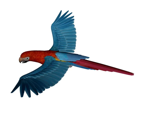 Алый ара, попугай, полет - 3D рендеринг — стоковое фото