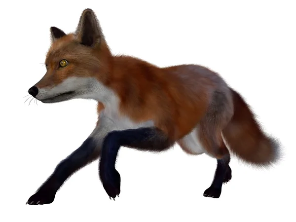 Red fox работает - 3d визуализация — стоковое фото