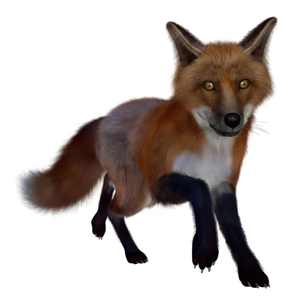 Red fox running- renderização 3D — Fotografia de Stock