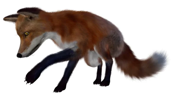 Red fox searching- rendering 3D — Foto Stock