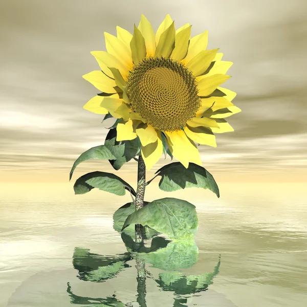 Schöne gelbe Sonnenblume - 3D-Render — Stockfoto