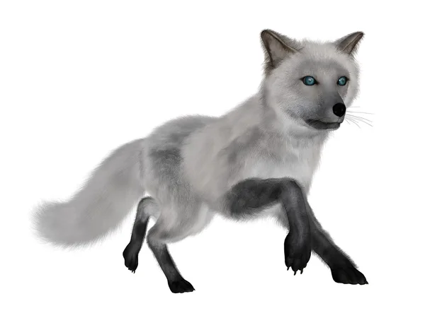 White fox běží - 3d vykreslení — Stock fotografie