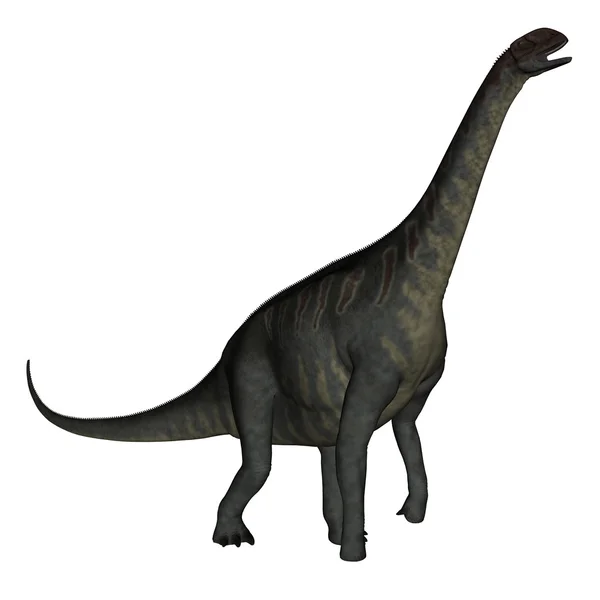Séta - 3d render Jobaria dinoszaurusz — Stock Fotó