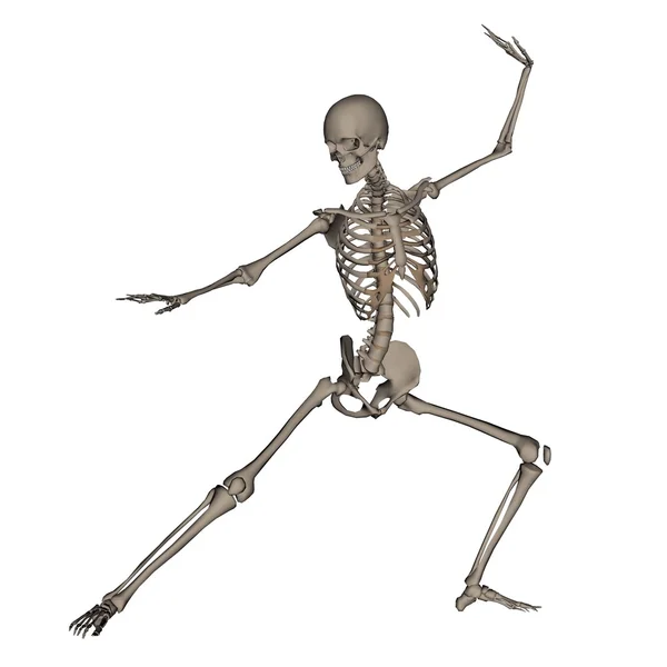 Human skeleton ready to fight - 3D render — Stock Photo, Image