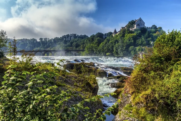 Słynny Rhinefalls, Szwajcaria — Zdjęcie stockowe