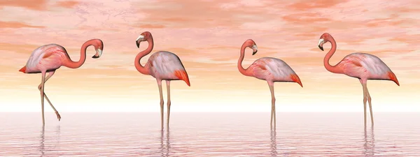 Розовые фламинго в воде - 3D рендеринг — стоковое фото
