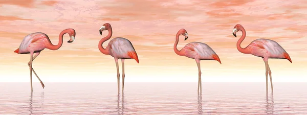 Flamants roses dans l'eau - rendu 3D — Photo