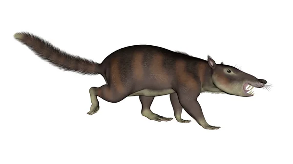 Cronopio dentiacutus, förhistoriska däggdjur - 3d render — Stockfoto