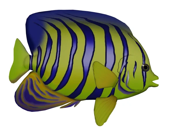 Angelfish - 3D render — Stock Photo, Image