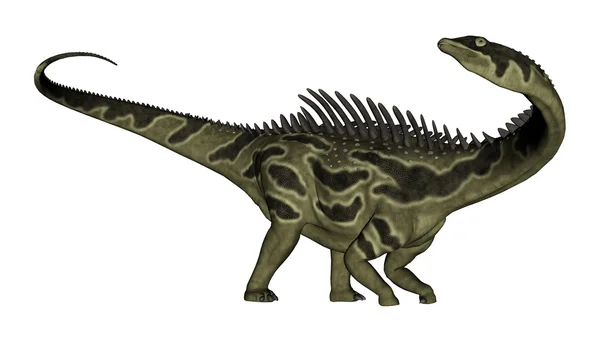 Dinosaurio Agustinia - 3D render —  Fotos de Stock