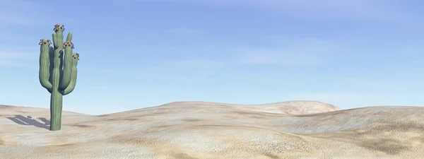 Cactus en el desierto - 3D render — Foto de Stock