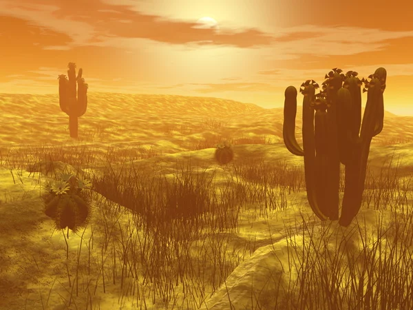 仙人掌在沙漠-3d 渲染 — 图库照片