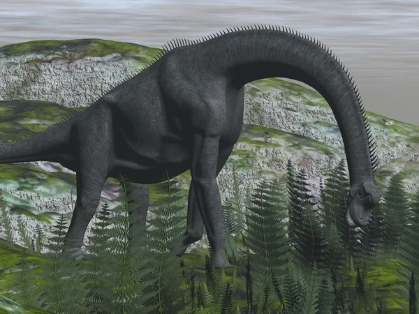 Brachiosaurus dinosaur eating fern - 3D render — Stock Photo, Image