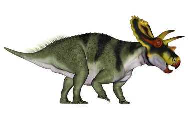 Anchiceratops dinosaur - 3D render clipart