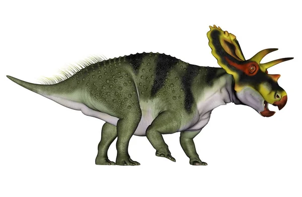 Anchiceratops dinozoru- 3D görüntüleme — Stok fotoğraf