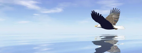 海の上の青い空を飛ぶワシ 3Dレンダリング — ストック写真