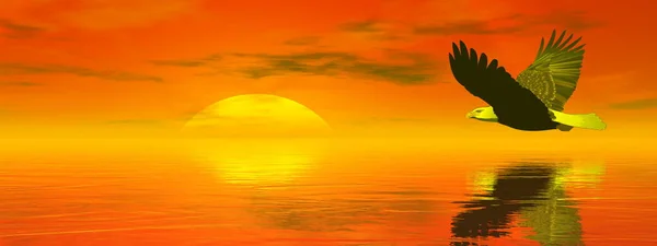 Eagle Flying Sun Ocean Red Sunset Render — Stock Photo, Image