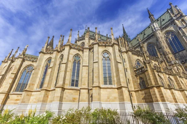 Ny katedral den obefläckade avlelsen, Neuer Dom, Linz, Aus — Stockfoto