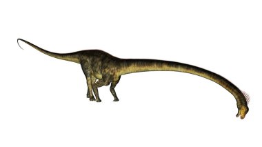 Barosaurus dinozoru içiyor- 3D görüntüleme