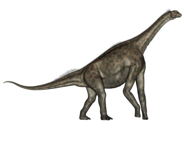 Atlasaurus dinozoru - 3D görüntüleme