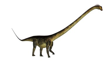 Barosaurus dinozor yürüyüşü - 3D görüntüleme