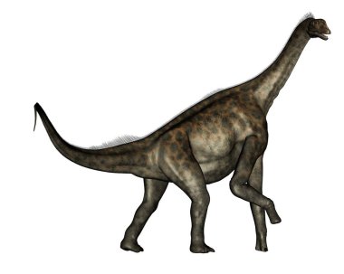 Atlasaurus dinozoru - 3D görüntüleme