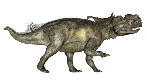 Pachyrhinosaurus dinosaurio caminando - 3D render — Foto de Stock