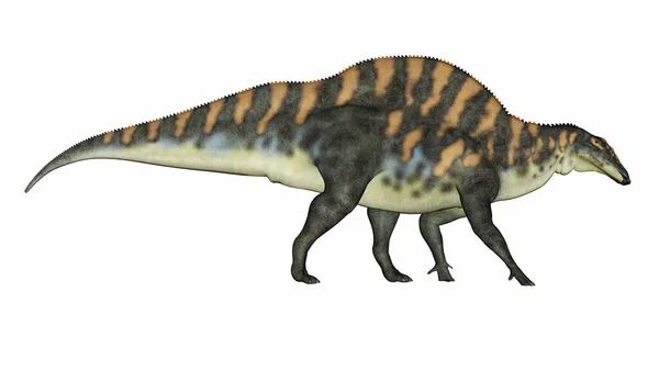 Ouranosaurus dinozorumuz - 3D görüntüleme — Stok fotoğraf