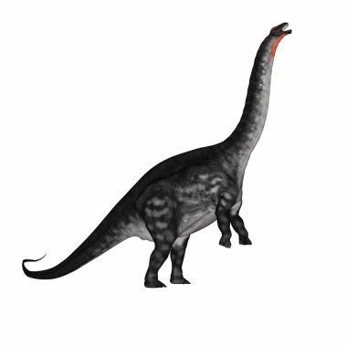 Apatosaurus dinozoru ayakta duruyor - 3 boyutlu görüntüleme