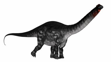 Apatosaurus dinozor yürüyüşü - 3D görüntüleme
